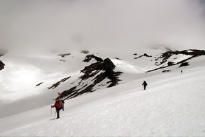 Mt. Hood